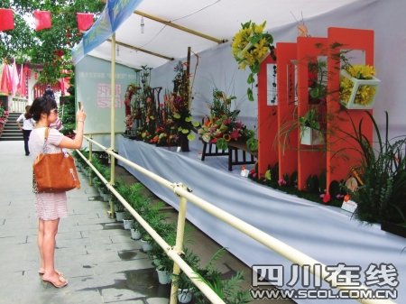 �ɶ������c���@�Ƴ�������}չ�[��