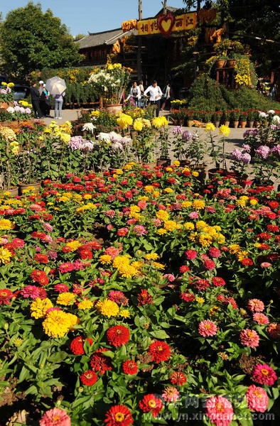 ���ϣ������f���r���������ܾ��^ӭ���c