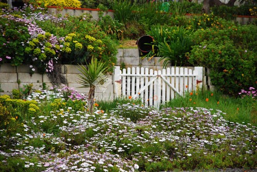 ���@ɫ���OӋ