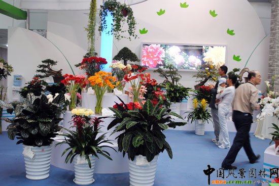 ���ߌû�����(����)�҃�չ--���Cչ�^