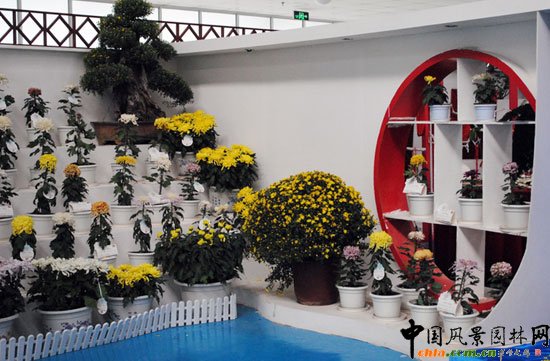 ���ߌû�����(����)�҃�չ--����չ�^