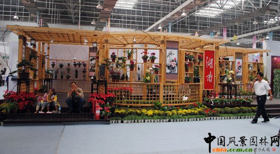 ���ߌû�����(����)�҃�չ--����չ�^