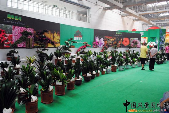 ���ߌû�����(hu��)(����)�҃�(n��i)չ--�|��չ�^(q��)