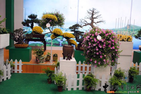 ���ߌû�����(����)�҃�(n��i)չ--����չ�^(q��)