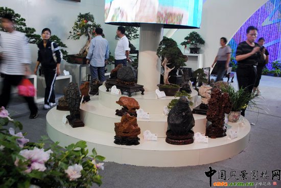 ���ߌû�����(����)�҃�չ--ɽ�|չ�^