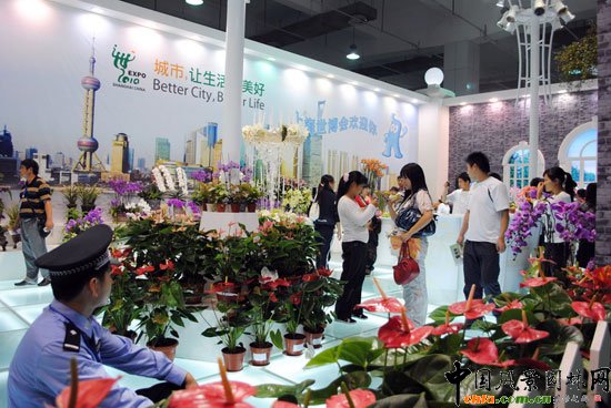 ���ߌû�����(����)�҃�(n��i)չ--�Ϻ�չ�^(q��)