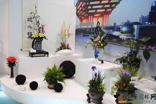 ���ߌû�����(����)�҃�(n��i)չ--�Ϻ�չ�^(q��)