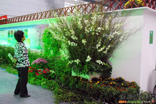 ���ߌû�����(����)�҃�չ--����չ�^