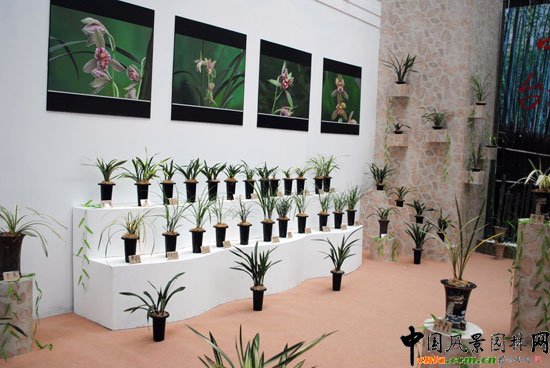 ���ߌû�����(����)�҃�չ--�_��չ�^