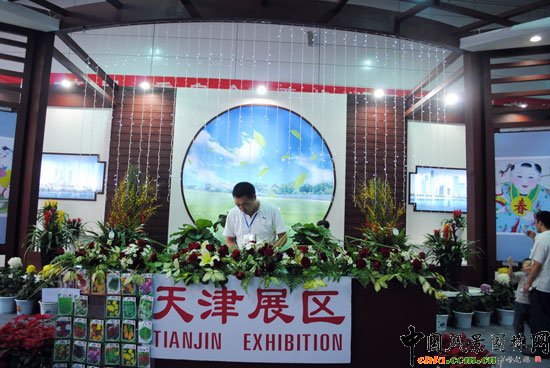 ���ߌû�����(hu��)(����)�҃�(n��i)չ--���չ�^(q��)