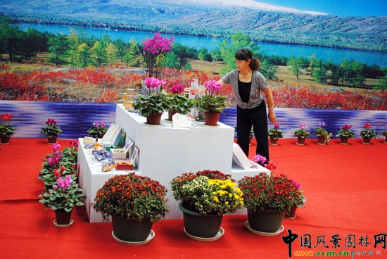 ���ߌû�����(hu��)(����)�҃�(n��i)չ--�½�չ�^(q��)