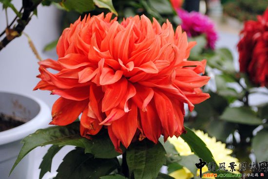 ���ߌû�����(����)�҃�չ--��Ʒ����