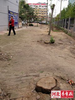 ʯ��200�����ͩ�䱻�� �������|(zh��)�ɡ����ޘ�߀�ǚ�����