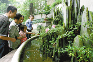 ���գ����չ��@��Ư�����辰�����˲��������^��