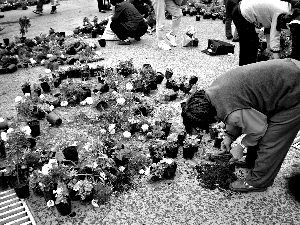 һЩ�������ڰỨ����������������w���Ļ����@�Tǰǧ���辰�^С��������哌��