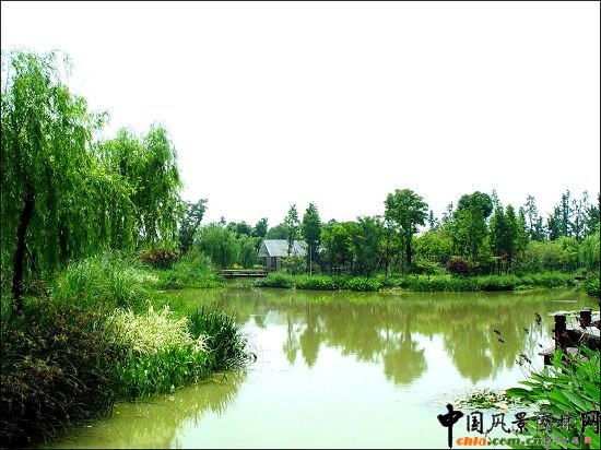 �X���³����o���@