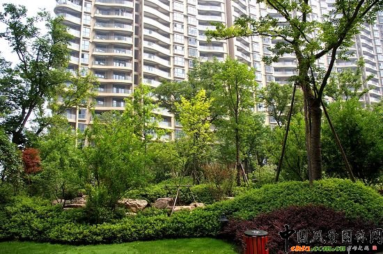 2008�꽻����סլС�^ʢ���X��