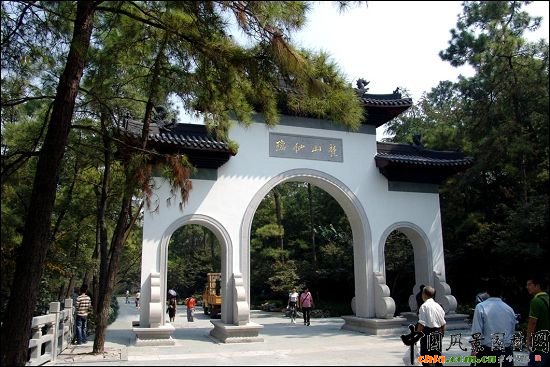 �`�[���ι���