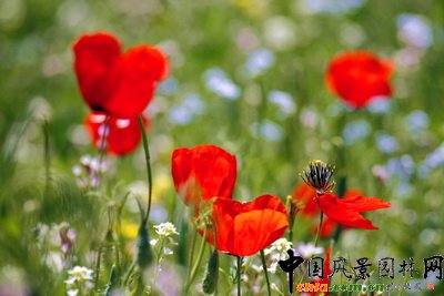 ������ʲô�@�Ӽt�����x�����M(j��n)���W��