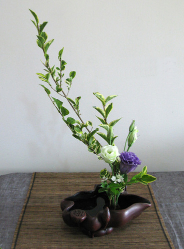 �ְ��ֽ�����Ůؑ����۹������˲廨