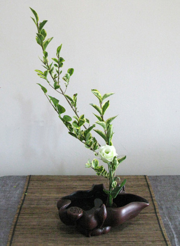 �ְ��ֽ�����Ůؑ����۹������˲廨