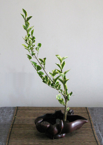 �ְ��ֽ�����Ůؑ����۹������˲廨