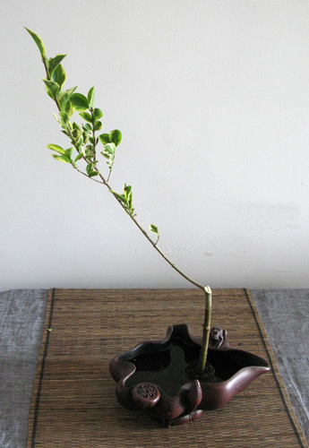 �ְ��ֽ�����Ůؑ����۹������˲廨