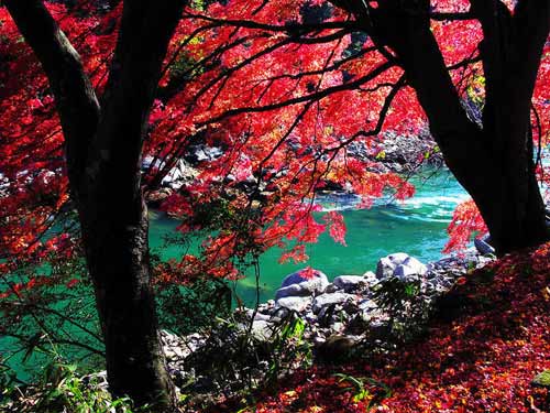 �c(di��n)���鿴��һ�