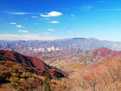 �c���鿴�l���