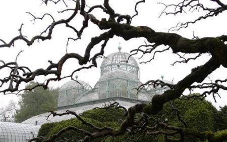 �M�D��ȫ�������m�Ͼ�ס�ć�(gu��)������ �Ї�(gu��)���P(gu��n)ע (17)