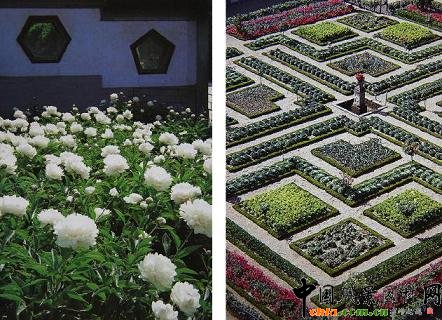 �@�ֵ�Ҏ(gu��)���t�෴���W�ވ@����Ҏ(gu��)���ģ��Ї�(gu��)�@���ǲ�Ҏ(gu��)������