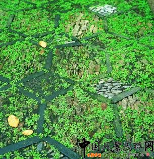 ���µļ���