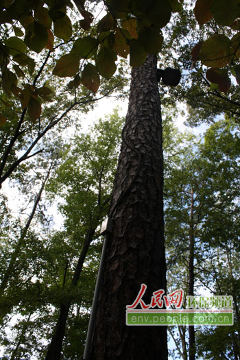 �͵�ȡ�ģ����b����ϵ�������