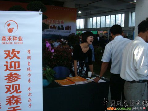 ���ߌ��Ї���ľ���ו��ڽ��A�e�k