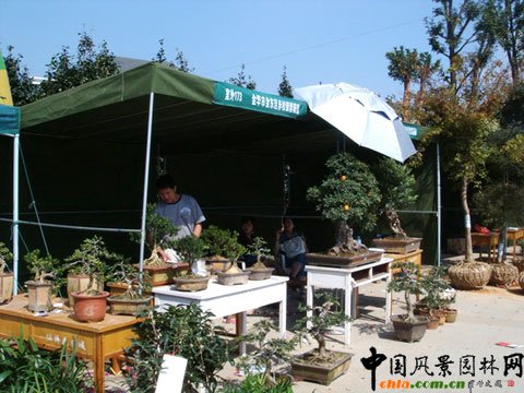 ���ߌ��Ї���ľ���ו��ڽ��A�e�k