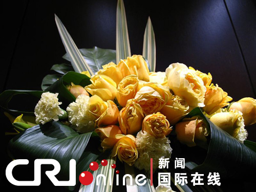 �����Z˹����˹����õ�廨��չ�_Ļ(�M�D)