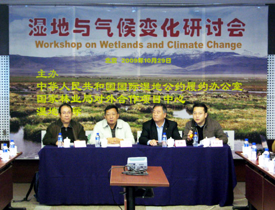 ����c���׃����ӑ�������Ӵ��o����