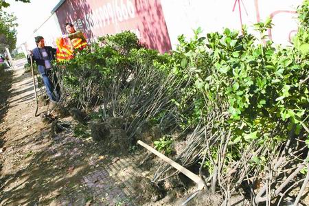 �����Ј@�־�ؓ(f��)؟(z��)�˵����¼��[�飺���s���ڲ�ϧ���G