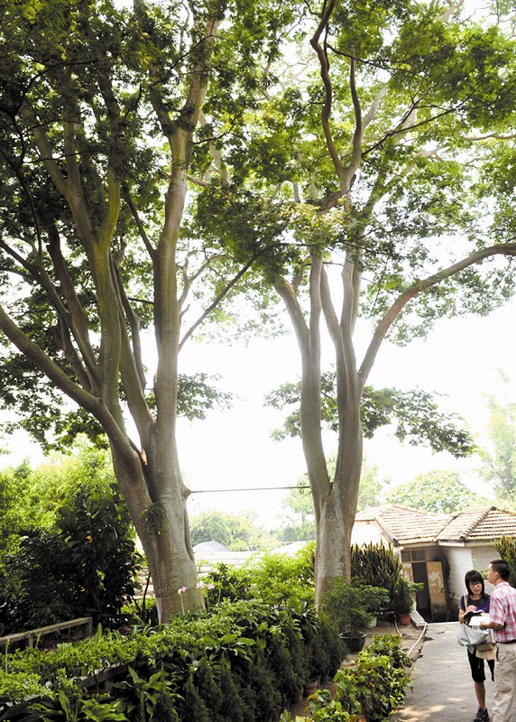 ���ˎZ��ߵĘ� ��ʽ��������ձȺϚg