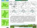 華中農大畢業生作品之紅旗島濕地公園規劃設計