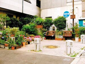 �����I�ԣ��W���OӋ�Ī�������(�M�D)