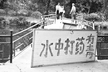 ���^����ʾ���|Ŀ�@�ġ�