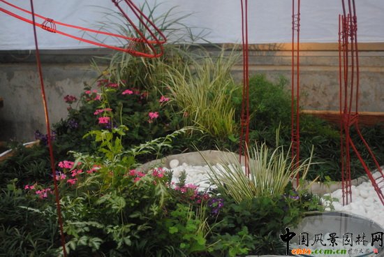 ̶֮�R��������@��С���@�O(sh��)Ӌ(j��)�c�I(y��ng)�족չ��Ʒ