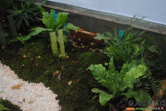 ̦Ȥ�@��������@��С���@�O(sh��)Ӌ(j��)�c�I(y��ng)�족չ��Ʒ