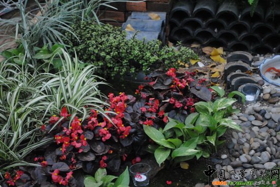 �w�@��ӡ�������@��С���@�O(sh��)Ӌ(j��)�c�I(y��ng)�족չ��Ʒ