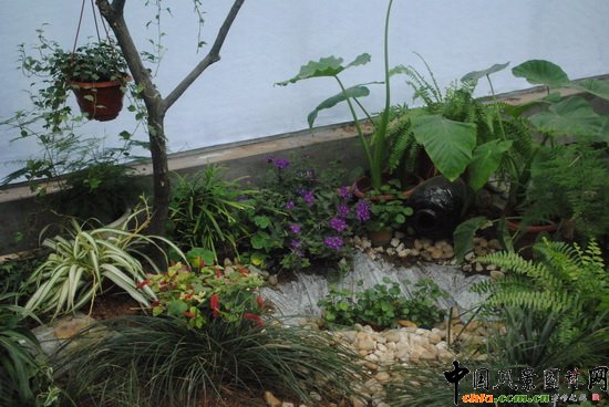 �׈@��������@��С���@�O(sh��)Ӌ(j��)�c�I(y��ng)�족չ��Ʒ