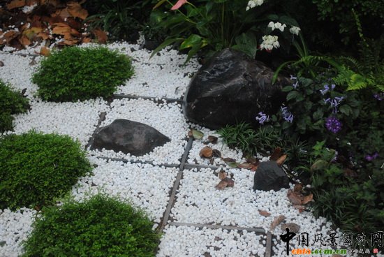 ���N(y��n)�@��������@��С���@�O(sh��)Ӌ(j��)�c�I(y��ng)�족չ��Ʒ