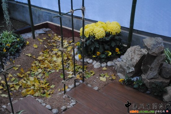 �����˼ҡ�������@��С���@�O(sh��)Ӌ(j��)�c�I(y��ng)�족չ��Ʒ