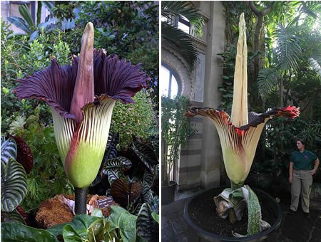 ����10��������ֲ�ǧ�q�mVSʬ�w��