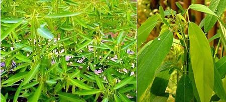 ����10��������ֲ�ǧ�q�mVSʬ�w��